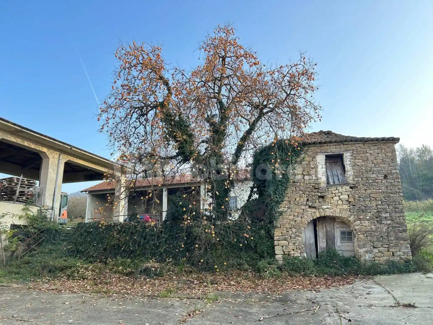 Cascina Strada Doglio 16, Cortemilia - foto 4