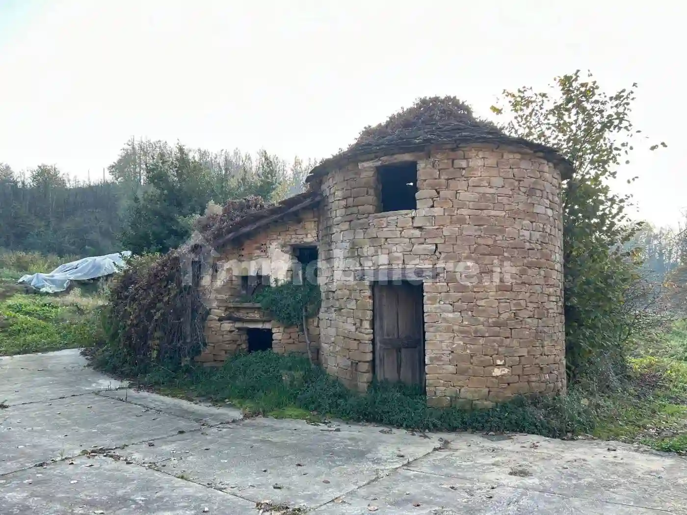 Cascina Strada Doglio 16, Cortemilia - foto 4