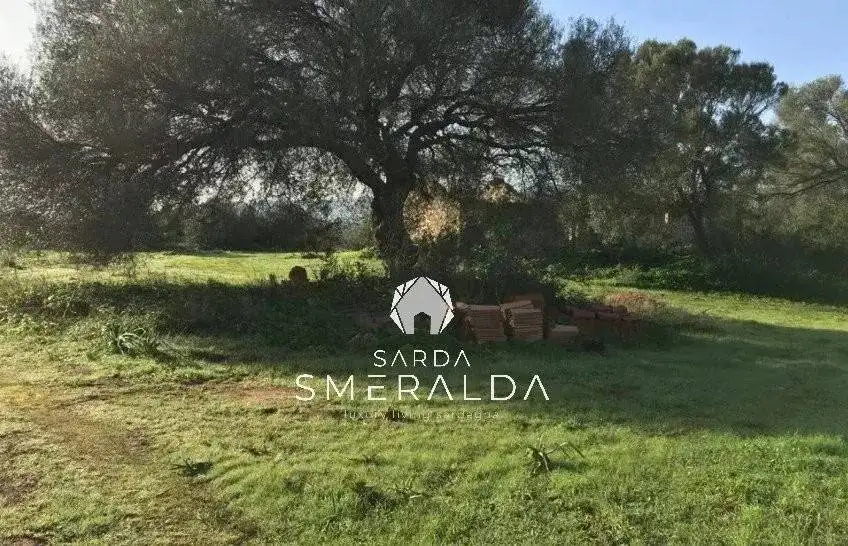 Villa unifamiliare, da ristrutturare, 405 m², Arzachena Paese, Arzachena - foto 5