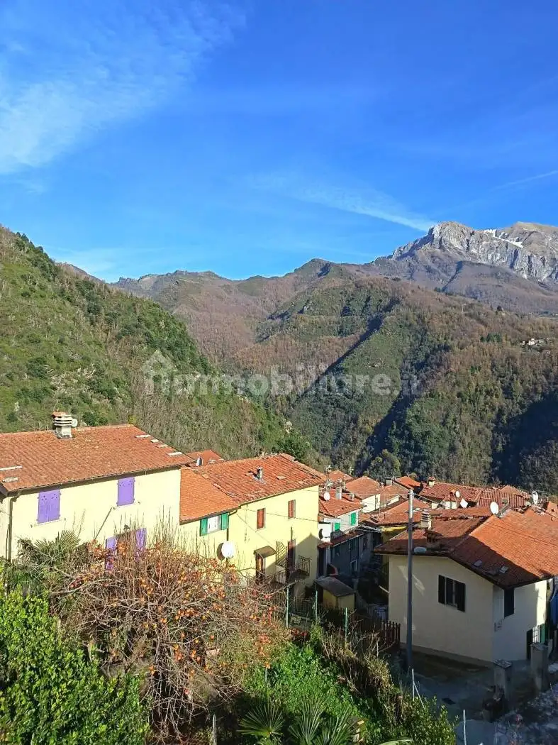 Casa indipendente in vendita a Seravezza