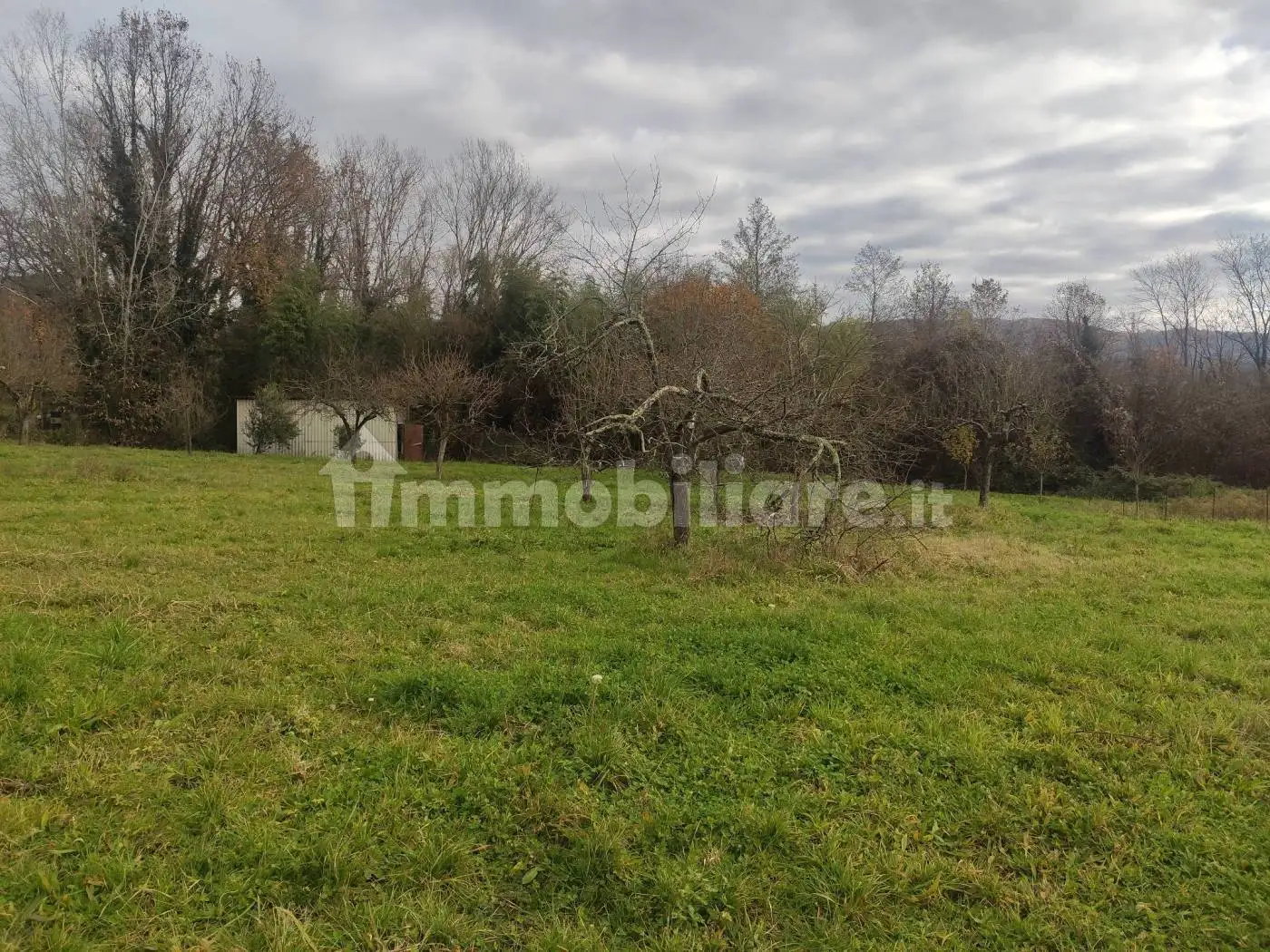 Villa bifamiliare via Enrico Fermi, Serricciolo, Aulla - foto 4