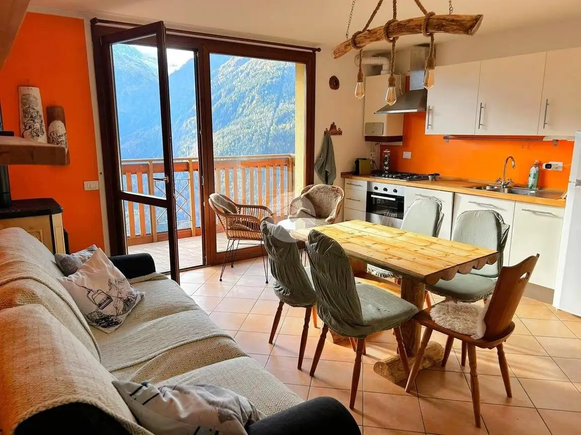 Appartamento in affitto a Vione