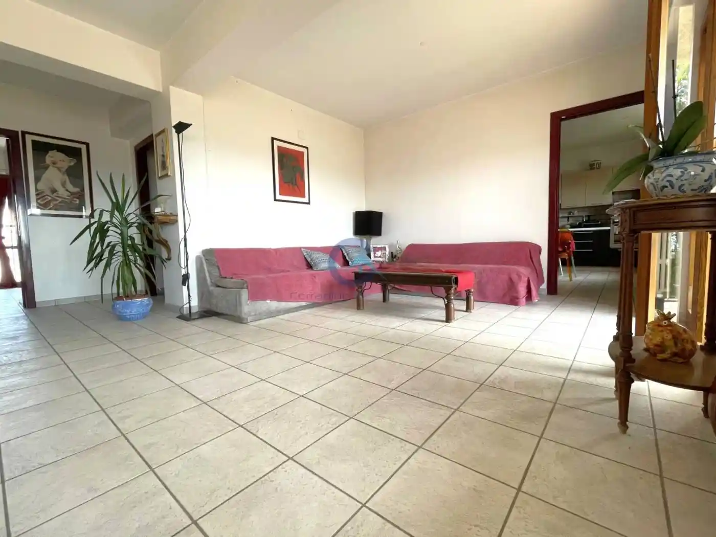 Appartamento via Regina Madre 42, Siano - Cava, Catanzaro - foto 4