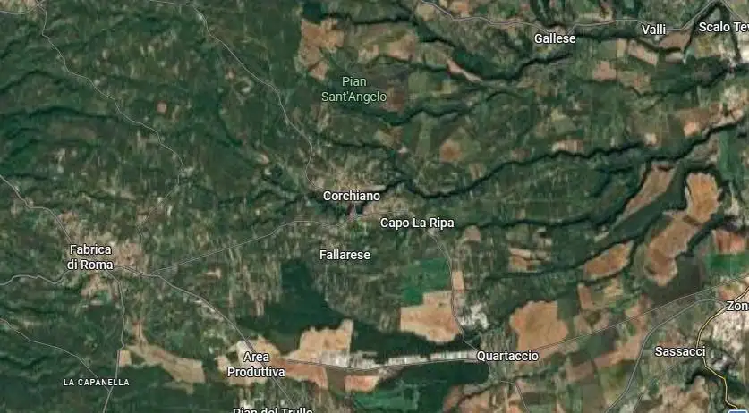 Appartamento in asta a Canepina