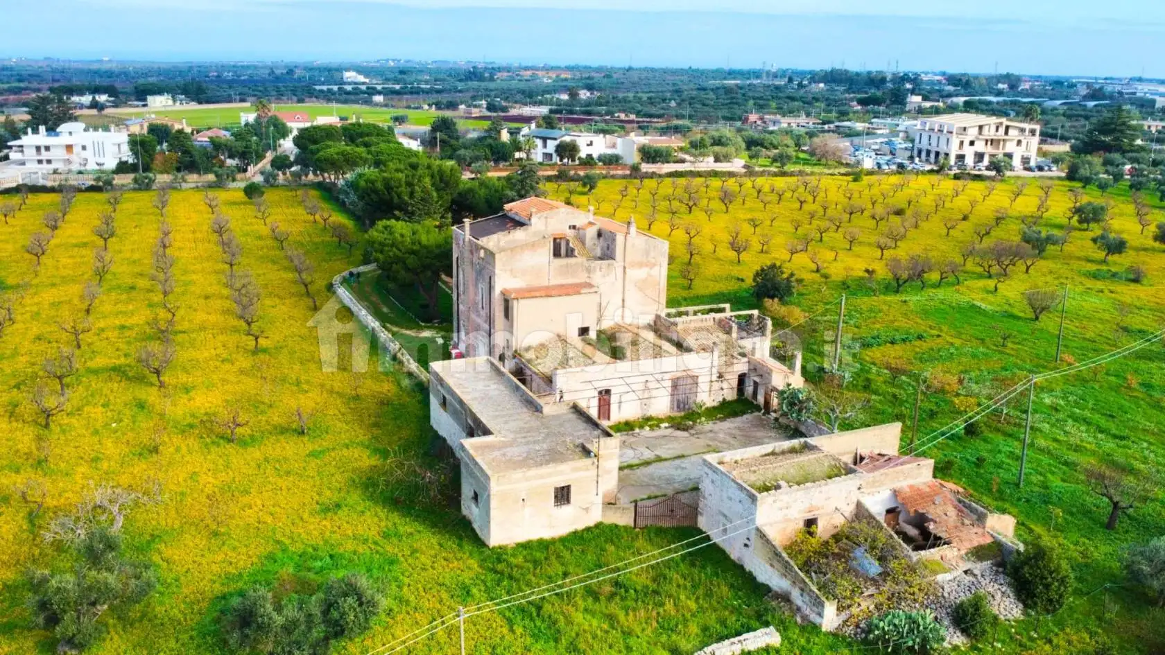 Masseria Contrada Bari, Conversano - foto 3