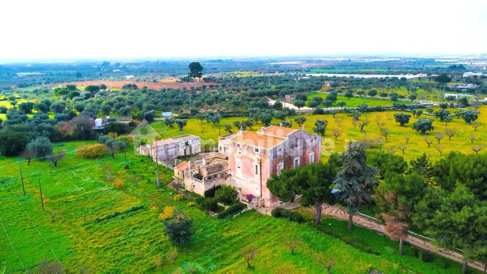 Masseria Contrada Bari, Conversano - foto 5