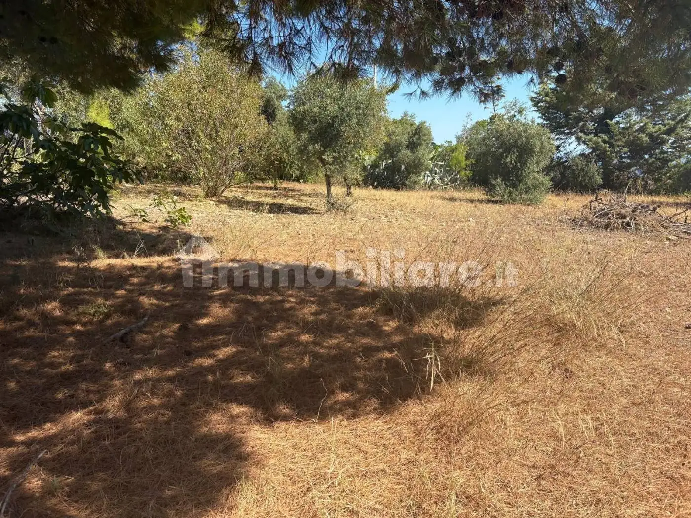 Rustico Contrada Corvo Valle, Casteldaccia - foto 2