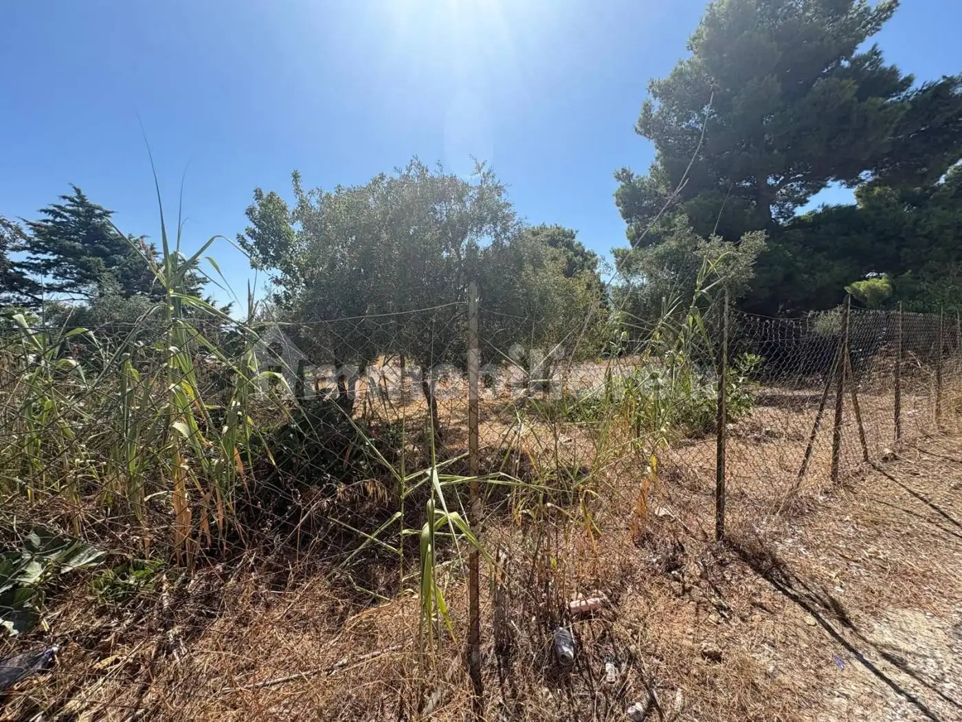 Rustico Contrada Corvo Valle, Casteldaccia - foto 3