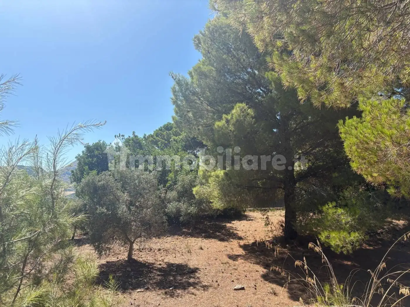 Rustico Contrada Corvo Valle, Casteldaccia - foto 5