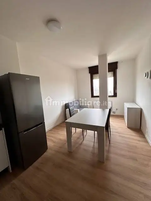 Appartamento in affitto a Rovigo