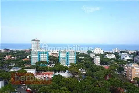 Quadrilocale viale Romagna 5, Milano Marittima, Cervia - foto 3