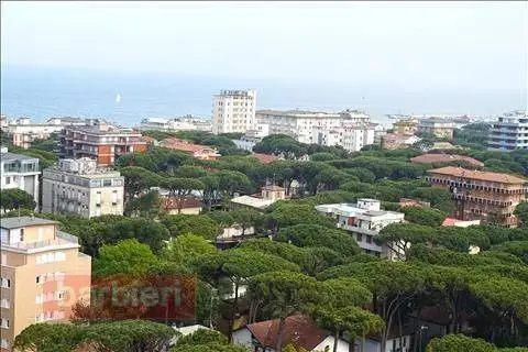 Quadrilocale viale Romagna 5, Milano Marittima, Cervia - foto 4