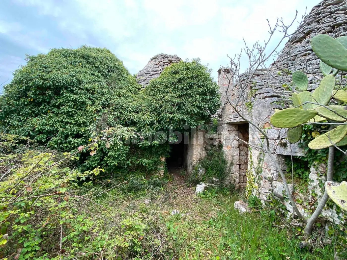 Rustico Contrada Settarte, Campanile, Fumarola, Cavalleriza, Ostuni - foto 3