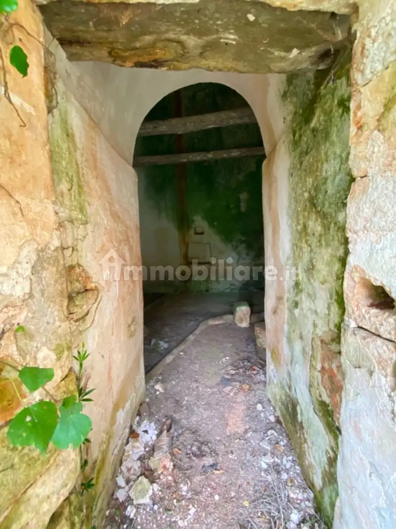 Rustico Contrada Settarte, Campanile, Fumarola, Cavalleriza, Ostuni - foto 4