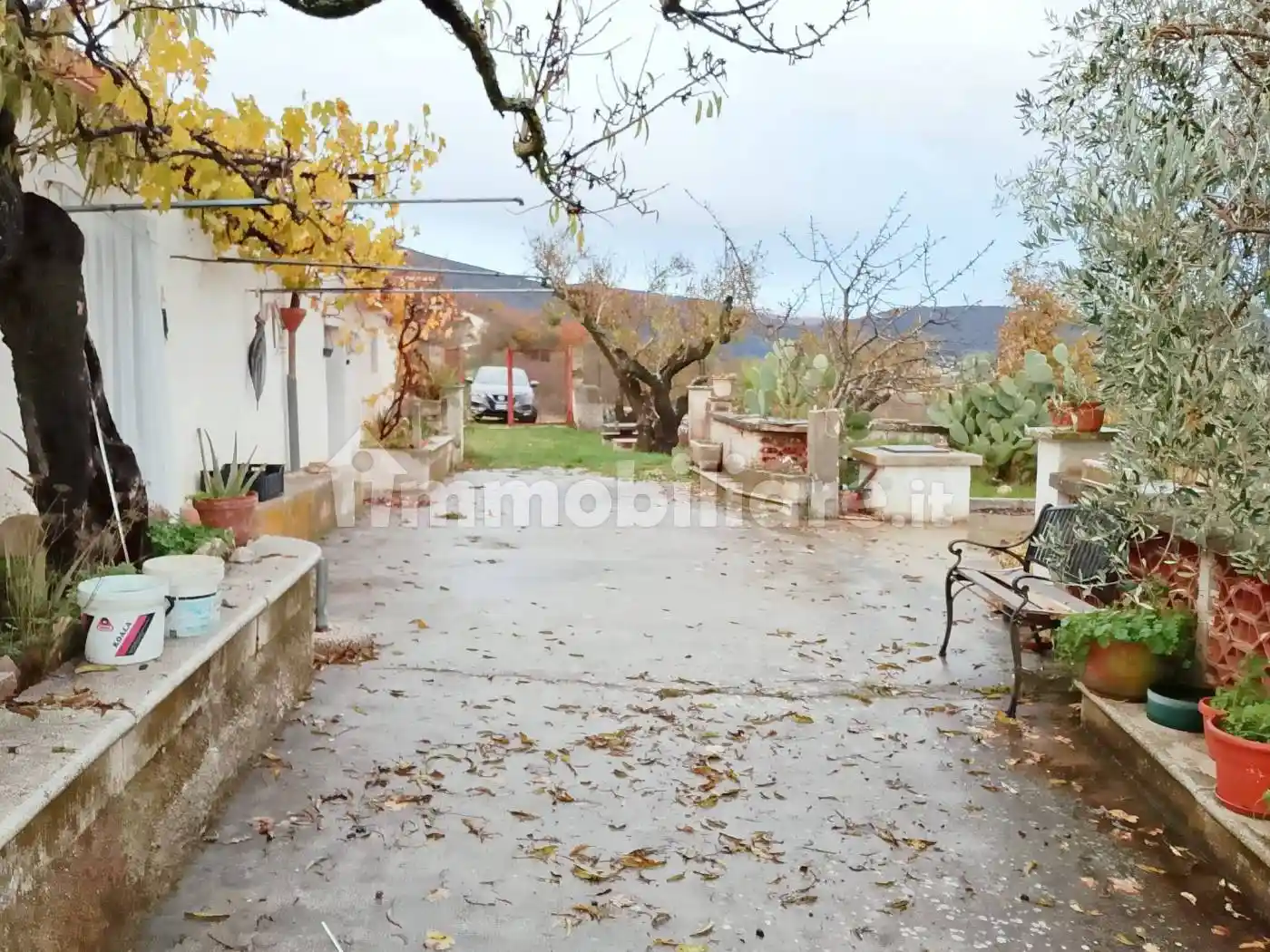 Rustico - Casale - foto 5