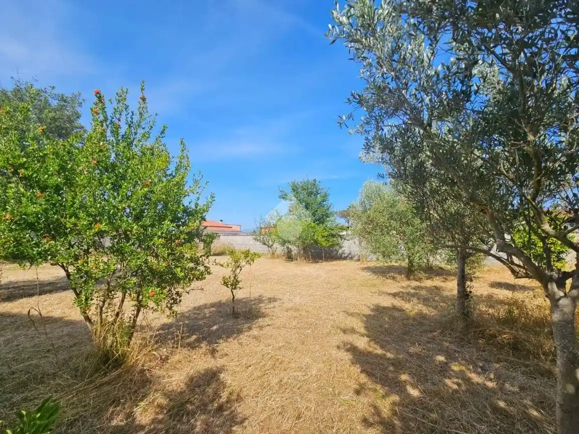 Villa bifamiliare Str. Alta 2501, Borgo Santa Maria, Latina - foto 3