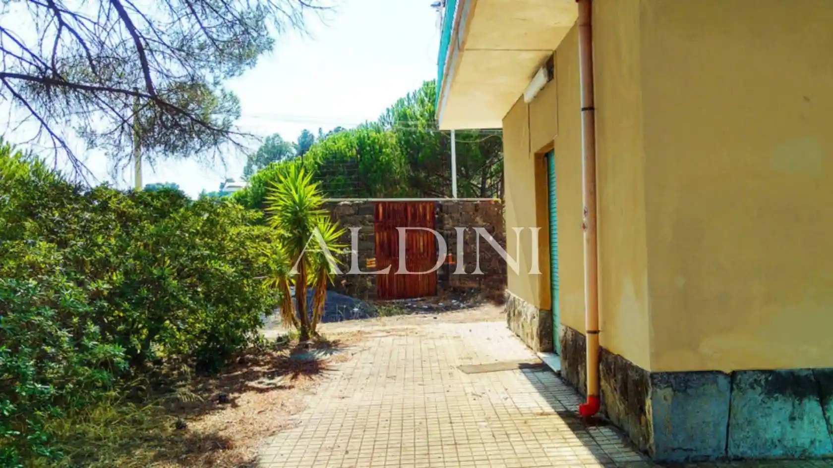 Palazzo - Edificio - foto 4