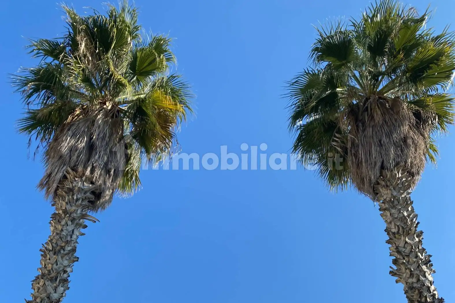 Appartamento in vendita a Favignana