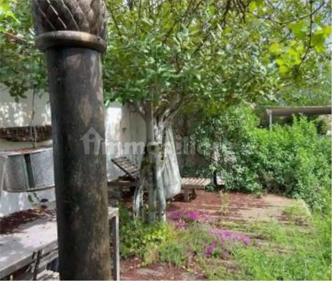 Palazzo - Stabile - foto 3