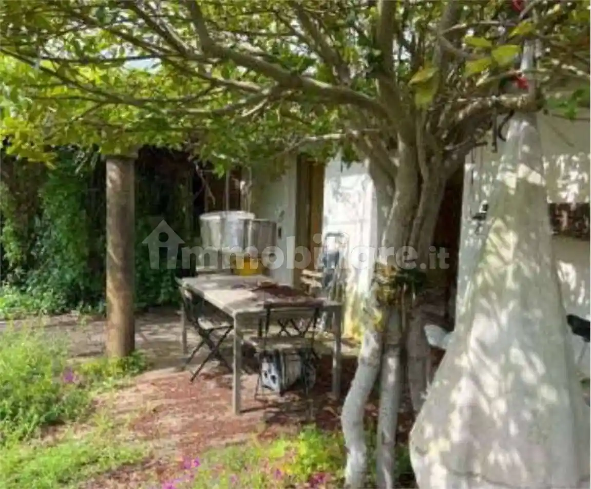 Palazzo - Stabile - foto 4