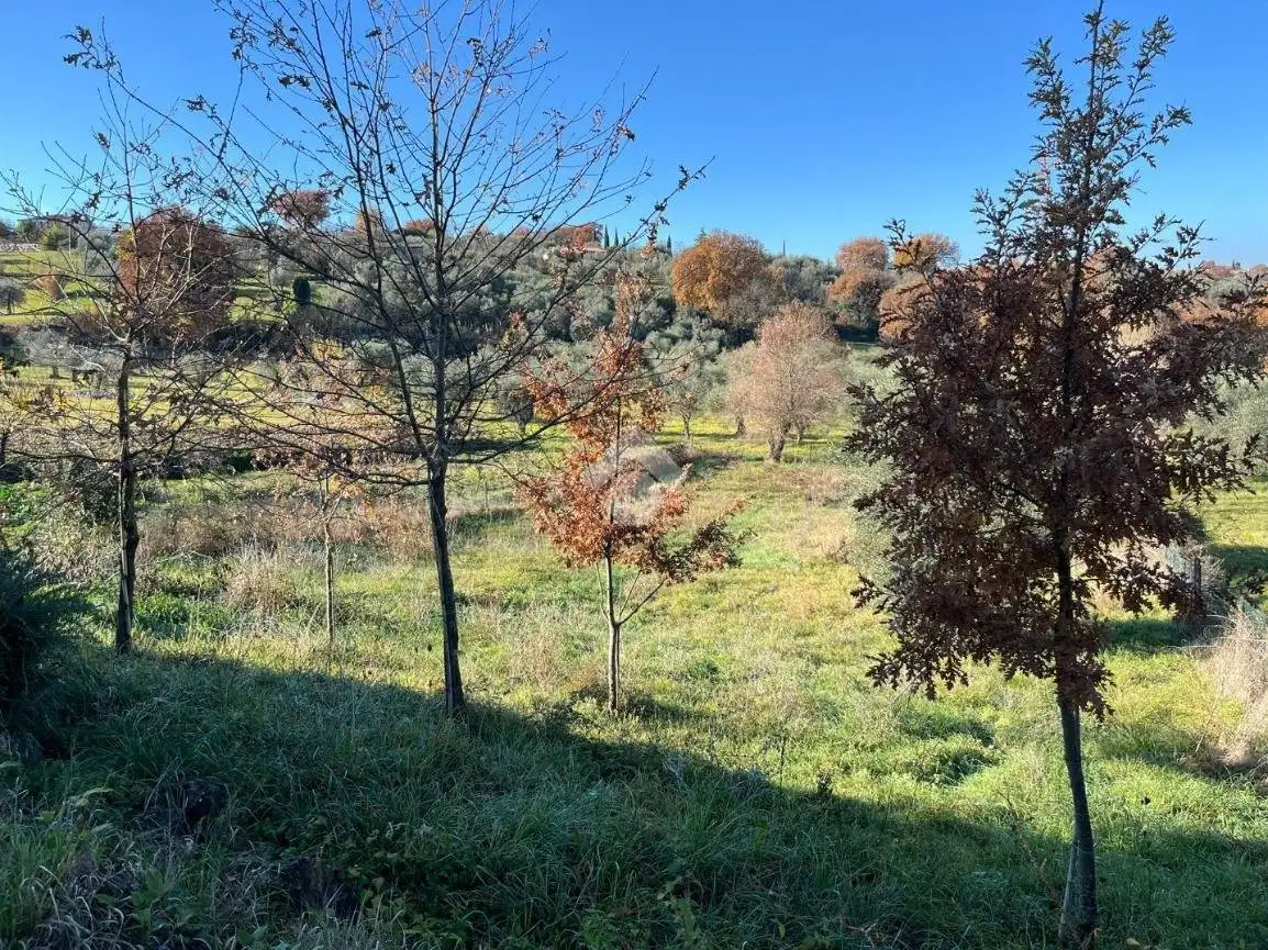 Trilocale Strada Amerina, Amelia - foto 5