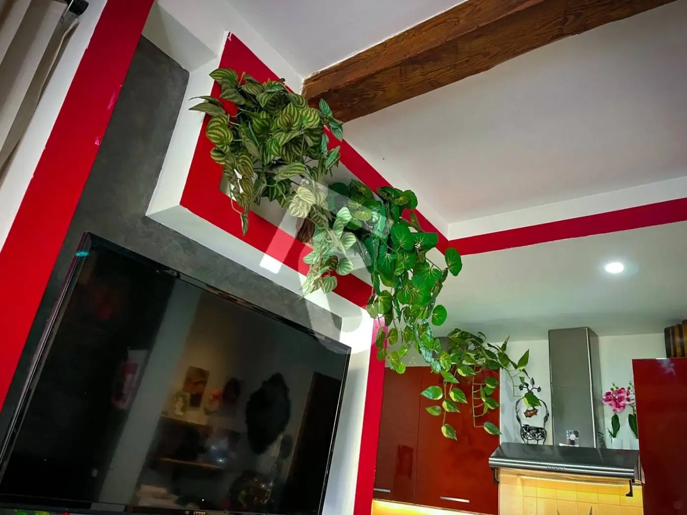 Bilocale primo piano, San Giuseppe, Jesi - foto 5