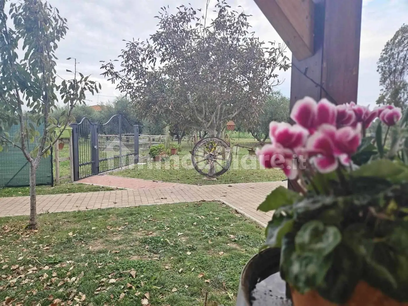 Appartamento nuovo, piano terra, Venturina, Campiglia Marittima - foto 3