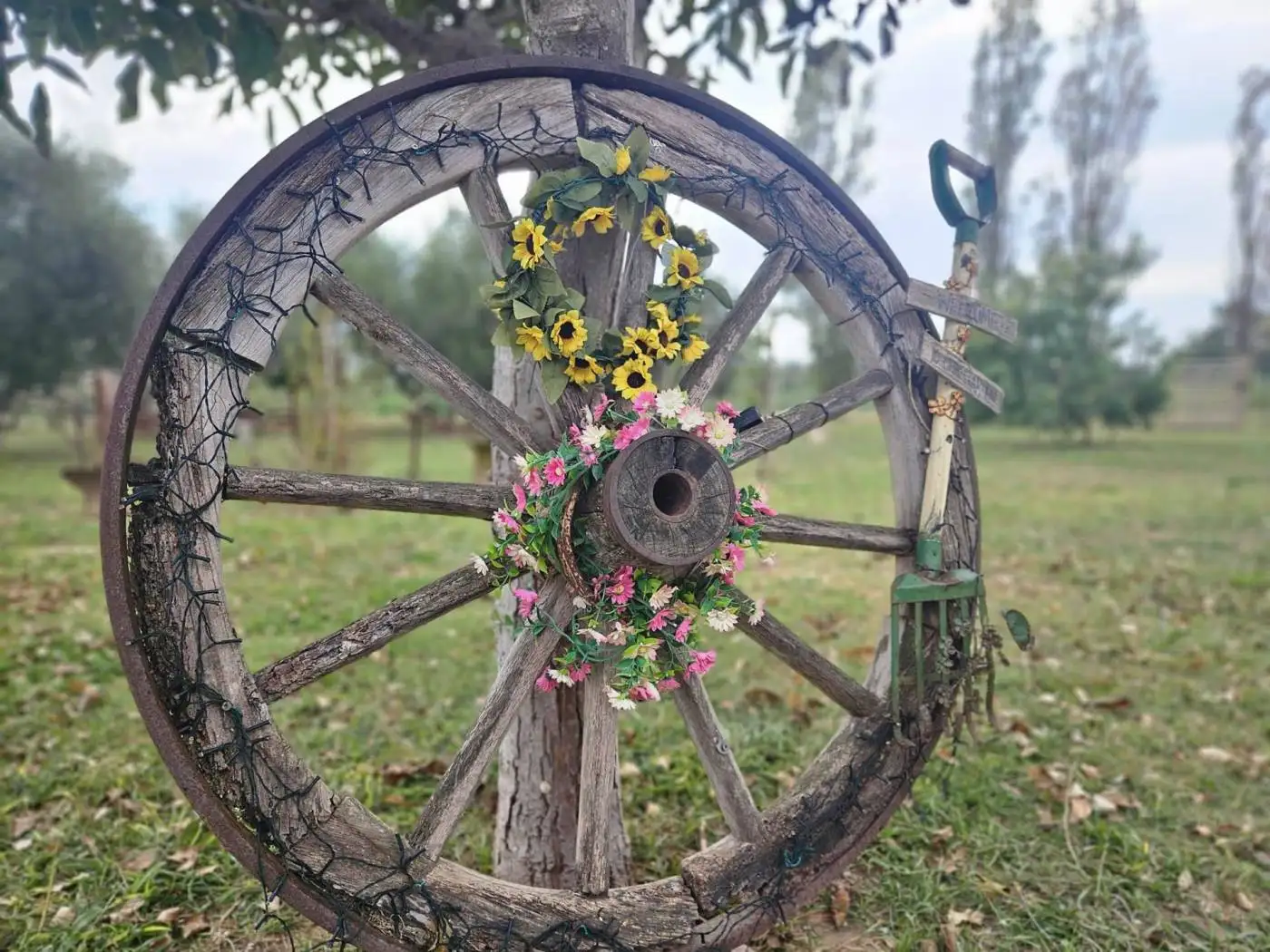 Appartamento nuovo, piano terra, Venturina, Campiglia Marittima - foto 5