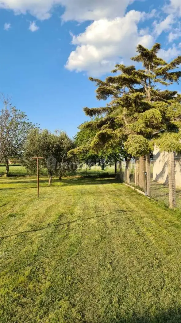 Appartamento Affitti, Campiglia Marittima - foto 2