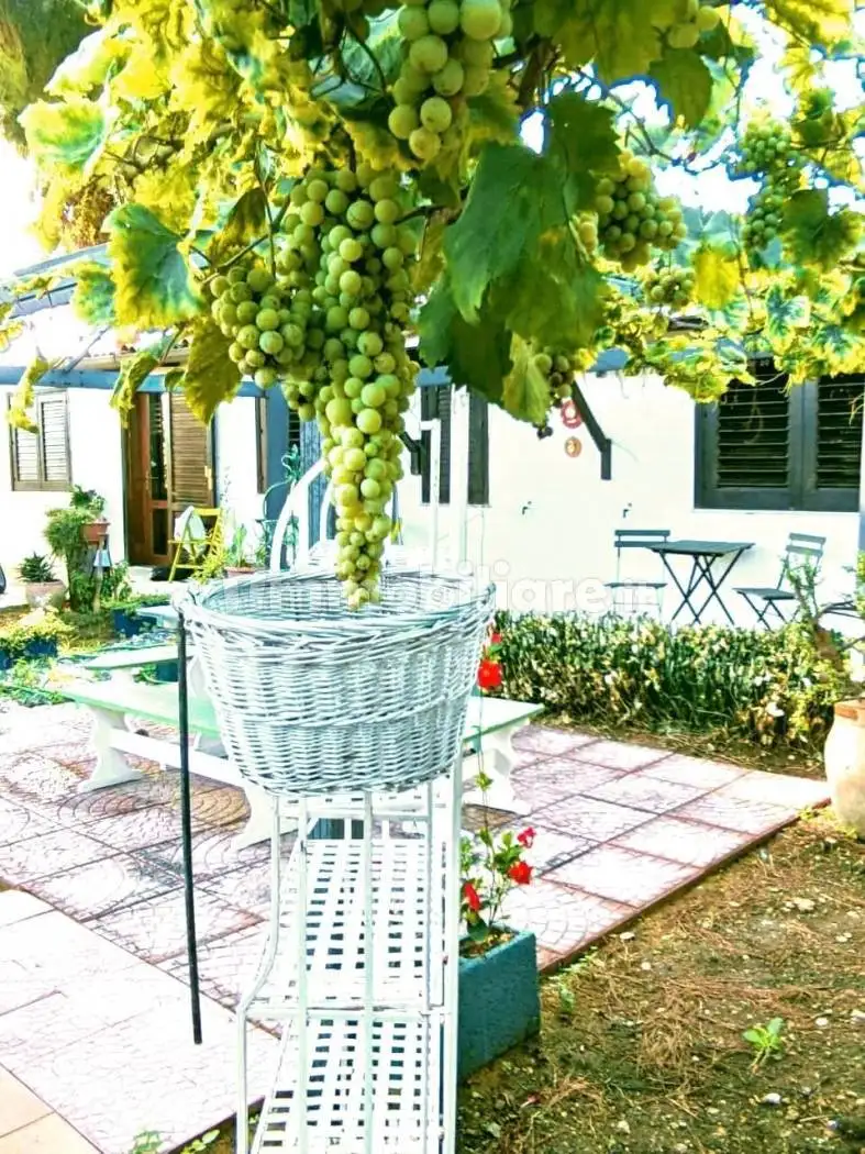 Villa in affitto a Siracusa