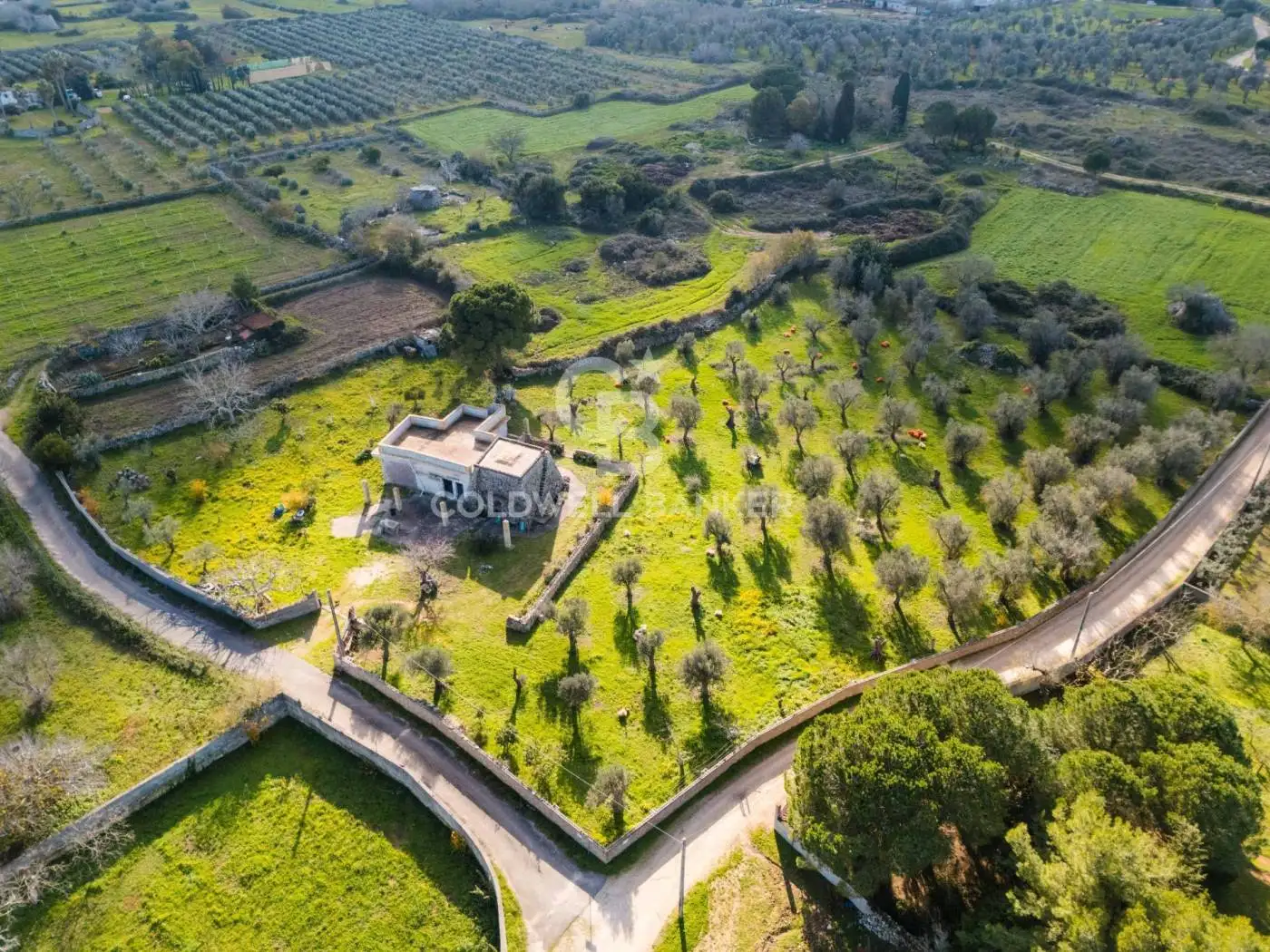 Villa in vendita a Carpignano Salentino