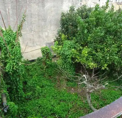 Villa unifamiliare Strada Giarratana 21, Modica Bassa, Modica - foto 5