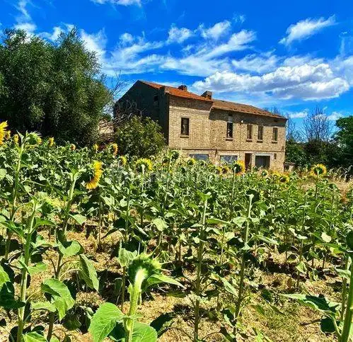 Rustico - Casale in vendita a Carassai
