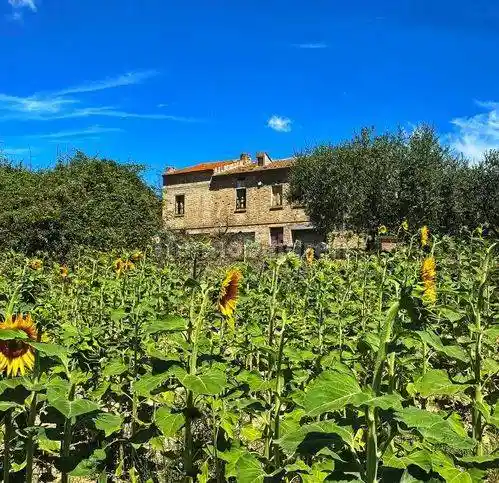 Rustico, da ristrutturare, 360 m², Carassai - foto 5
