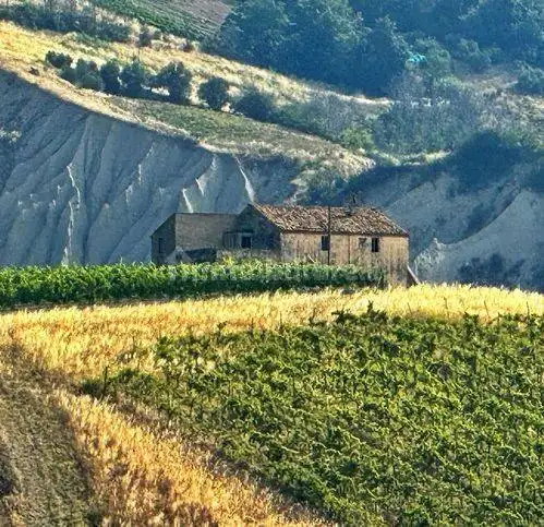 Villa in vendita a Ripatransone