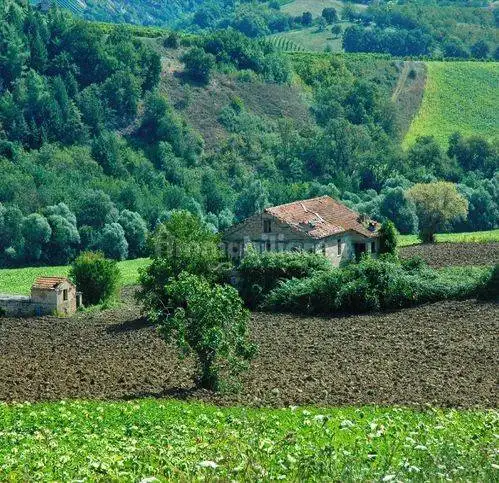 Rustico - Casale in vendita a Offida