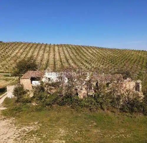 Rustico Contrada San Venanzo, Castignano - foto 2