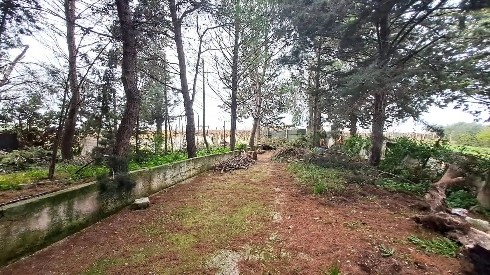 Villa unifamiliare Contrada Piscina di Suso, Adelfia - foto 3