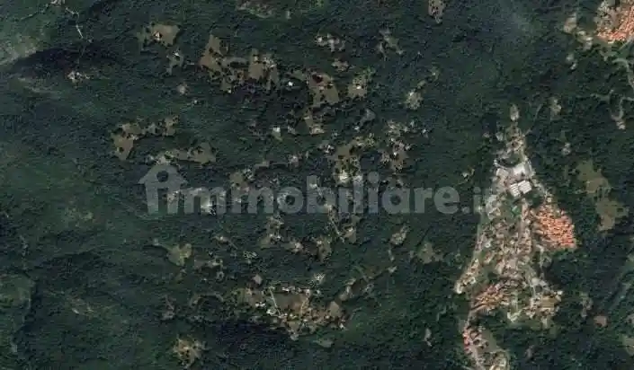 Rustico - casale all'asta Località Plesio, Plesio - foto 2