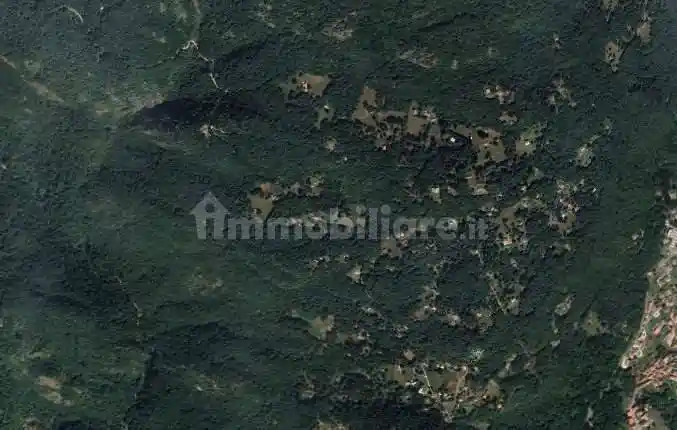Rustico - casale all'asta Località Plesio, Plesio - foto 3