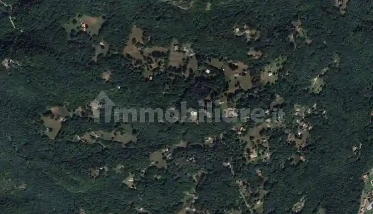 Rustico - casale all'asta Località Plesio, Plesio - foto 4