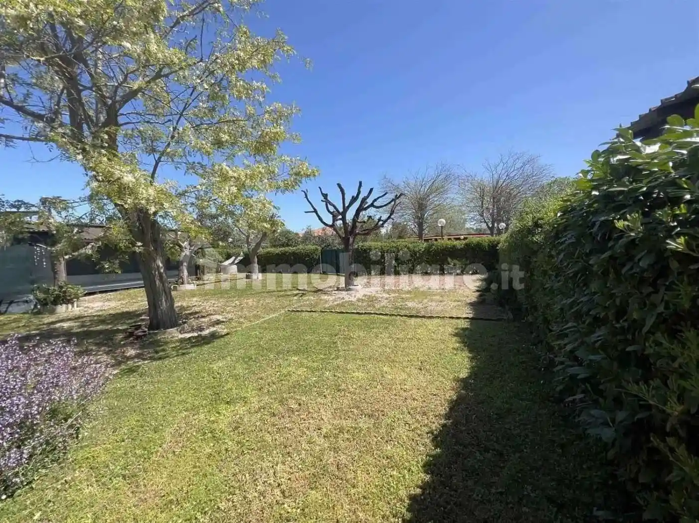 Rustico - Casale in vendita a Piombino