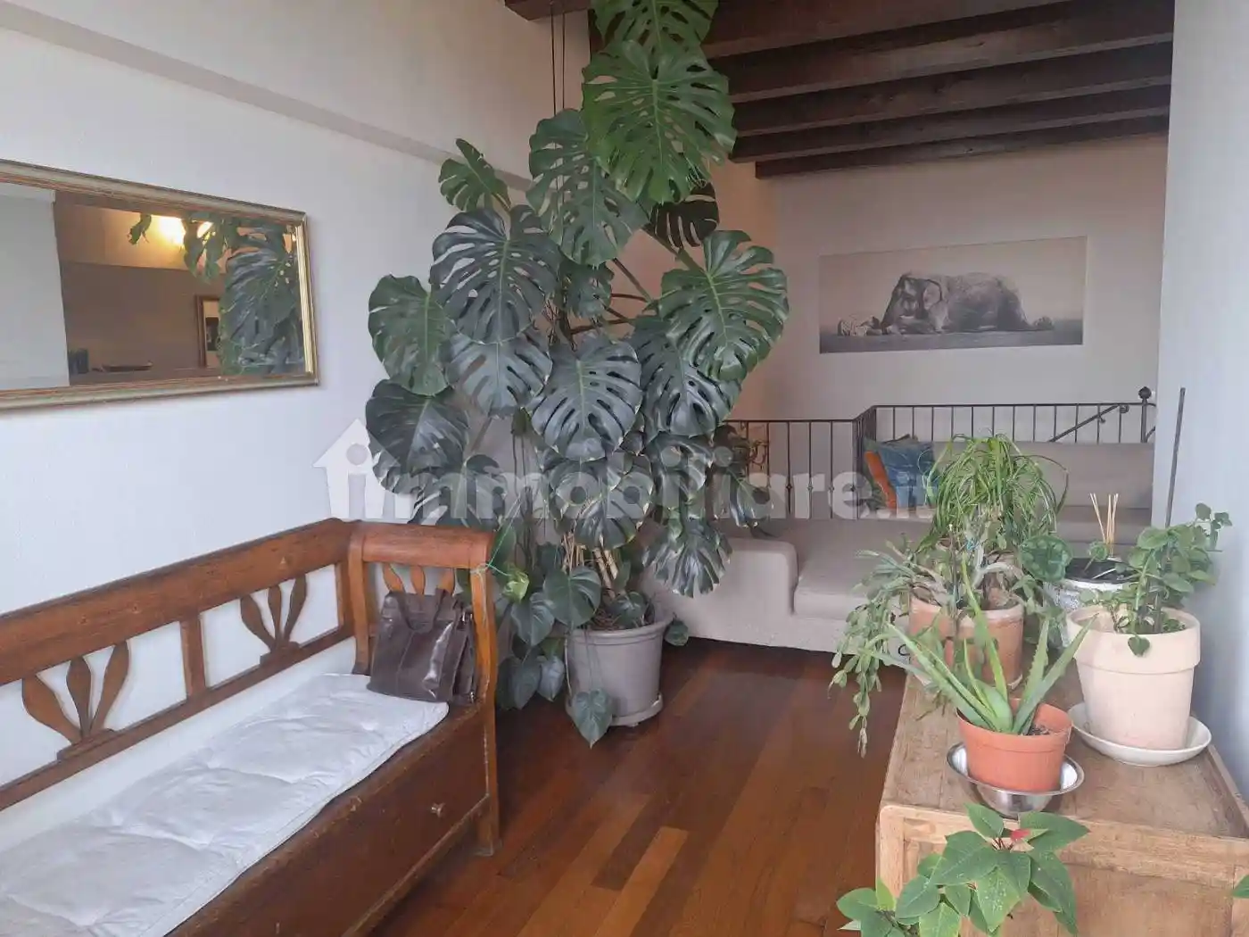 Trilocale ottimo stato, piano terra, Colle di Covignano, Rimini - foto 3