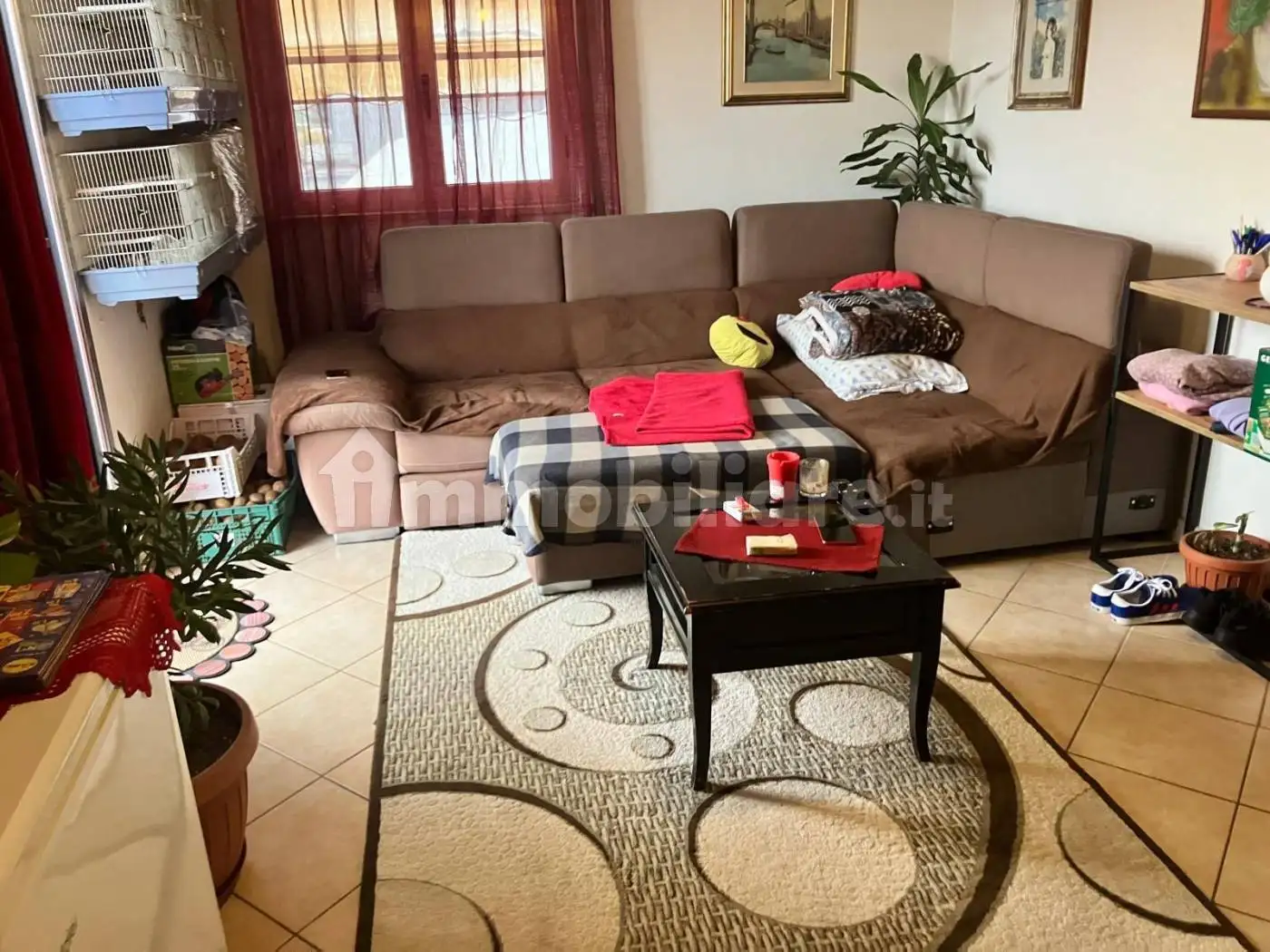 Appartamento in affitto a Latina