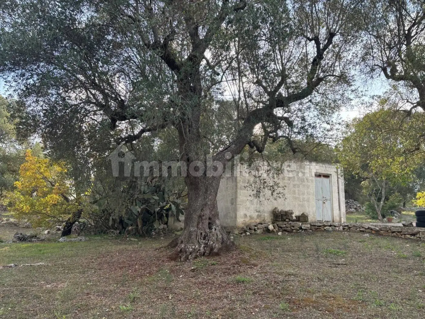 Trullo Contrada Pisciacalze, Ceglie Messapica - foto 2