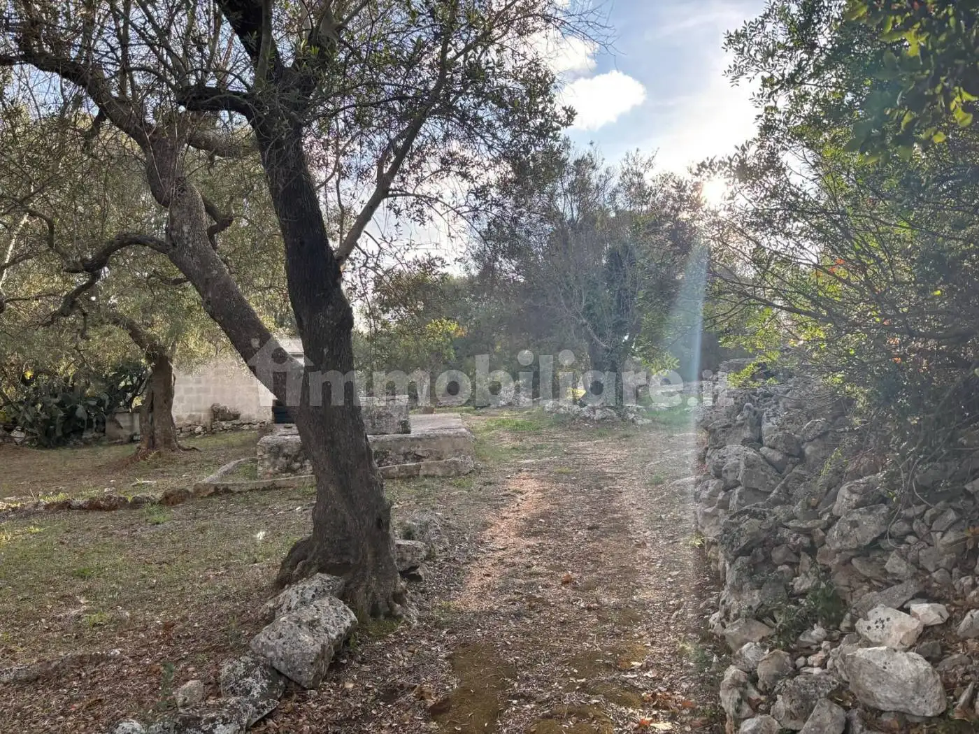 Trullo Contrada Pisciacalze, Ceglie Messapica - foto 3
