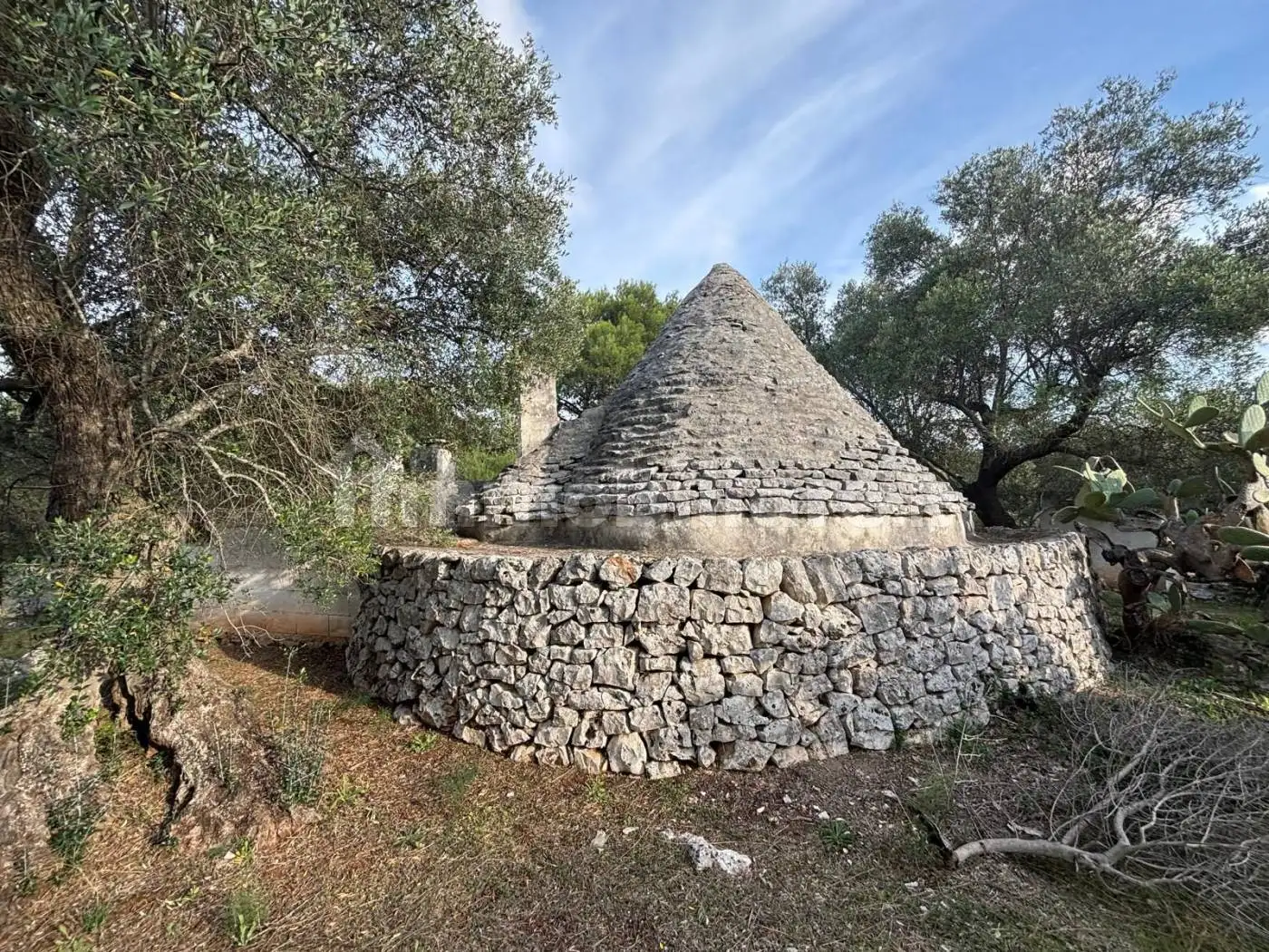 Trullo Contrada Pisciacalze, Ceglie Messapica - foto 4