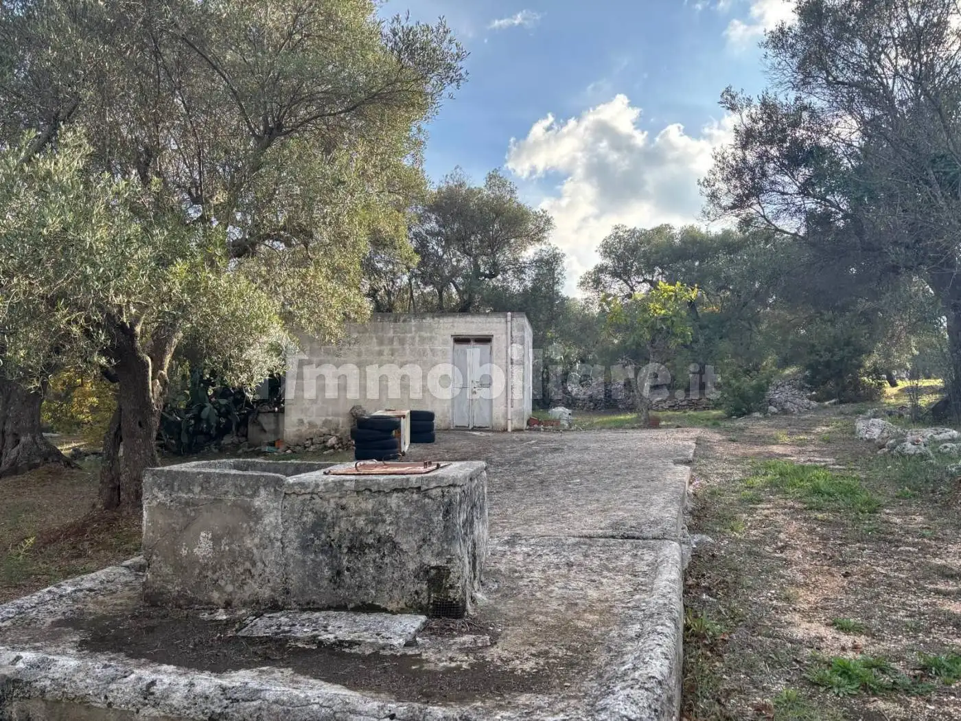 Trullo Contrada Pisciacalze, Ceglie Messapica - foto 5