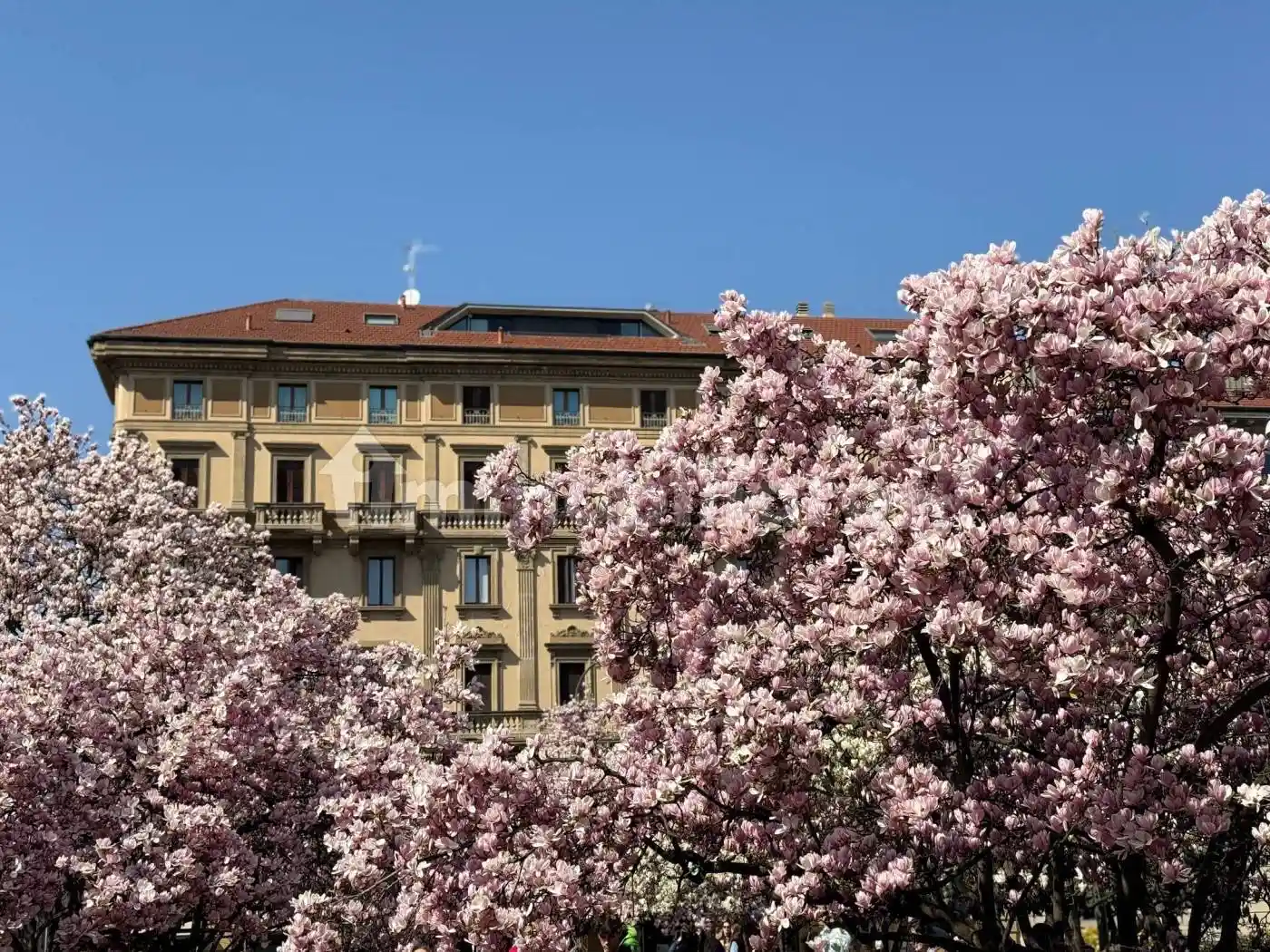 Trilocale ottimo stato, piano terra, Vincenzo Monti, Milano - foto 5