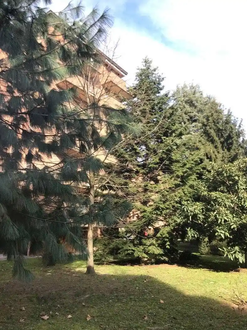 Bilocale via Teramo, 26, Cantalupa - San Paolo, Milano - foto 3